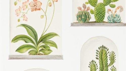 Terrariums 216655